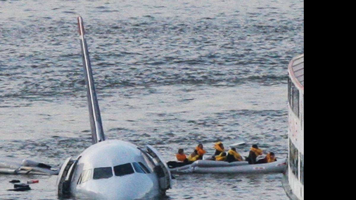 
In January 2009 a US Airwasy aircraft went down in the Hudson River in New York after being struck by a flock of gees.

