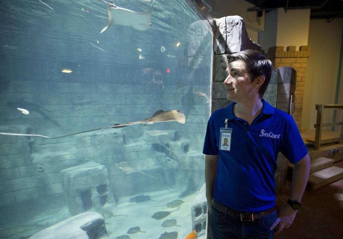 General Manager Cody Wood at SeaQuest, the new aquarium on the lower level of Ridgmar Mall on Wednesday, November 1, 2017. It is expected to be a popular attraction and one of the key ingredients in the effort to redevelop the struggling Ridgmar Mall.