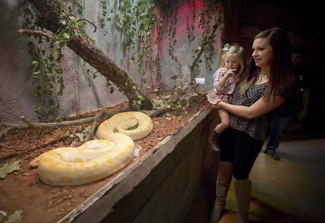 Braley Burke holds her daughter Jayde Grimm looking at a very big snake at SeaQuest, the new aquarium on the lower level of Ridgmar Mall on Wednesday, November 1, 2017. It is expected to be a popular attraction and one of the key ingredients in the effort to redevelop the struggling Ridgmar Mall.