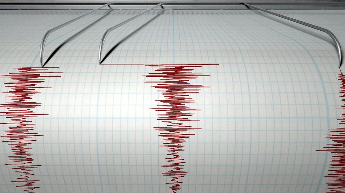 
Researchers from the University of Texas at Austin’s Bureau of Economic Geology are completing bid documents for the equipment and interviewing scientists to oversee the $4.5 million comprehensive earthquake study approved by Texas lawmakers earlier this year.

