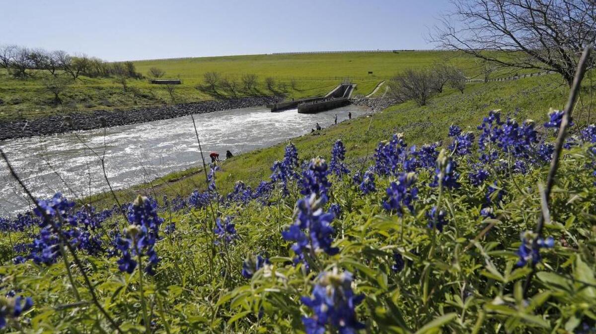 The U.S. Army Corps of Engineers is banning drilling within 4,000 feet of the dam at Joe Pool Lake. The agency also injection wells should be at least five miles from the dam.