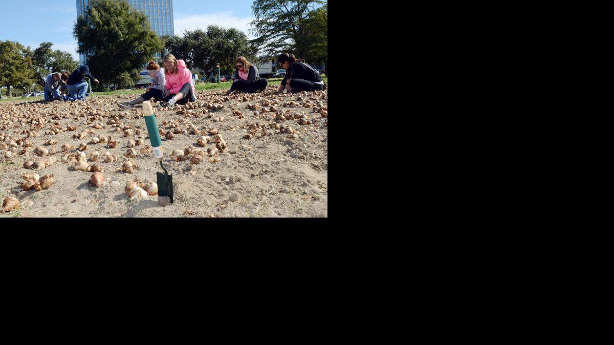 
Streams & Valleys received the Innovation Award in the Trailblazer’s Award program for its planting of daffodils along the Trinity River.
