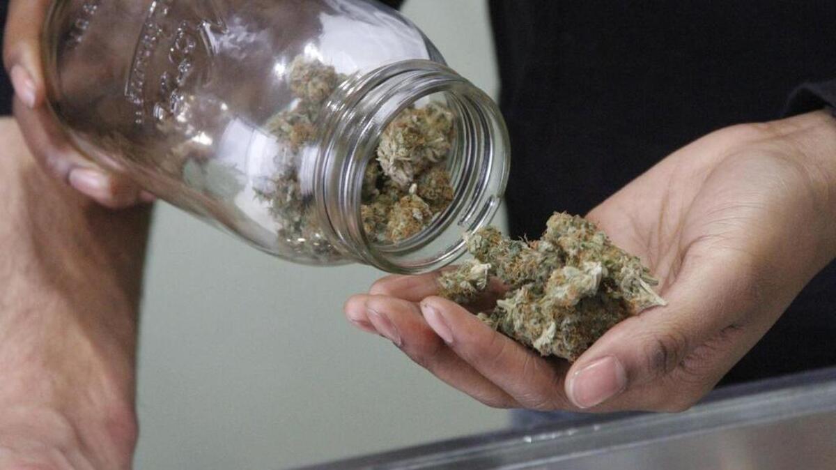 Alaska Cannabis Club CEO Charlo Greene prepares to roll a joint Feb. 20, 2015, at the medical marijuana dispensary in Anchorage, Alaska.