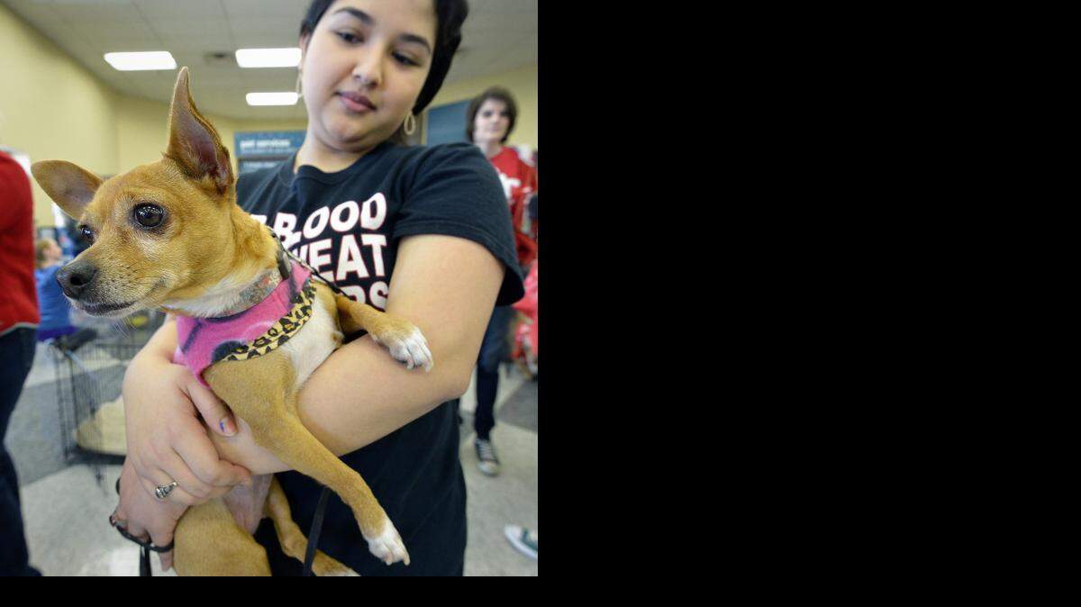 
Paloma Garza holds Cinnamon during a special pet adoption day at the Petco in Grapevine.
