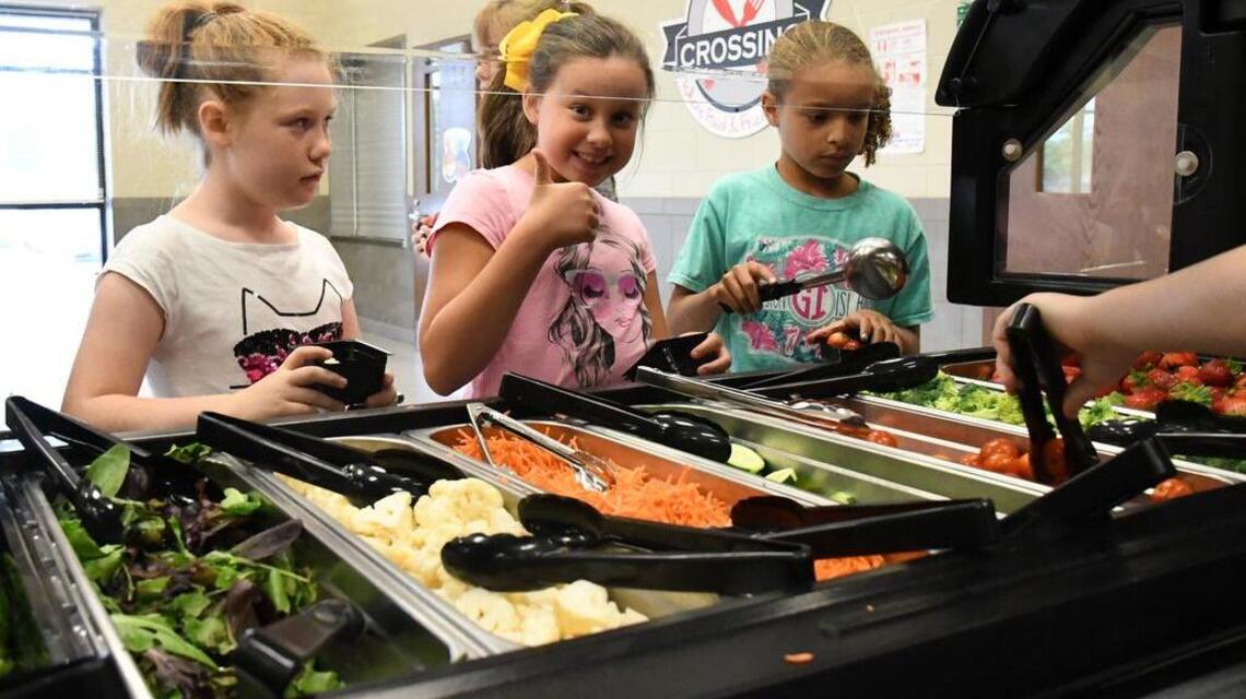 School to table: Mansfield students grow their food and eat it, too