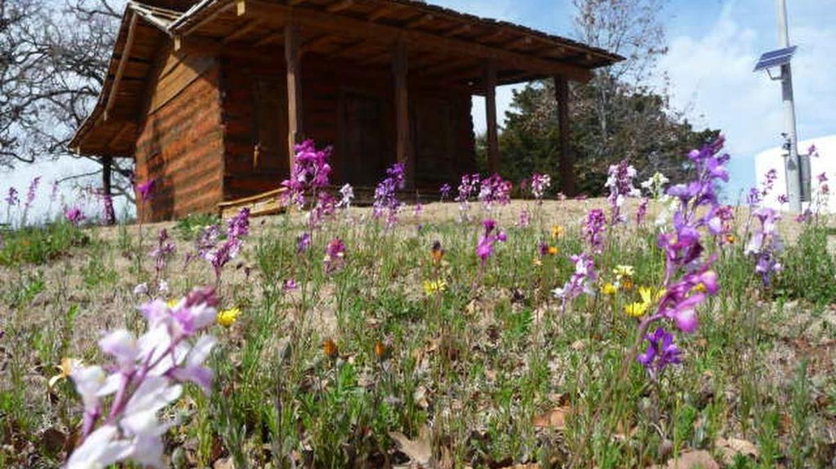
Southlake log house at Bicentennial Park.
