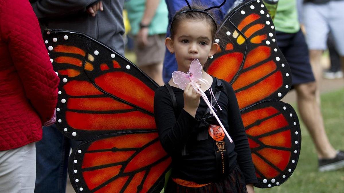 Andrea Carrillo, 6, of Grapevine is dressed for the butterfly release at Grapevine's 18th Annual Butterfly Flutterby.
