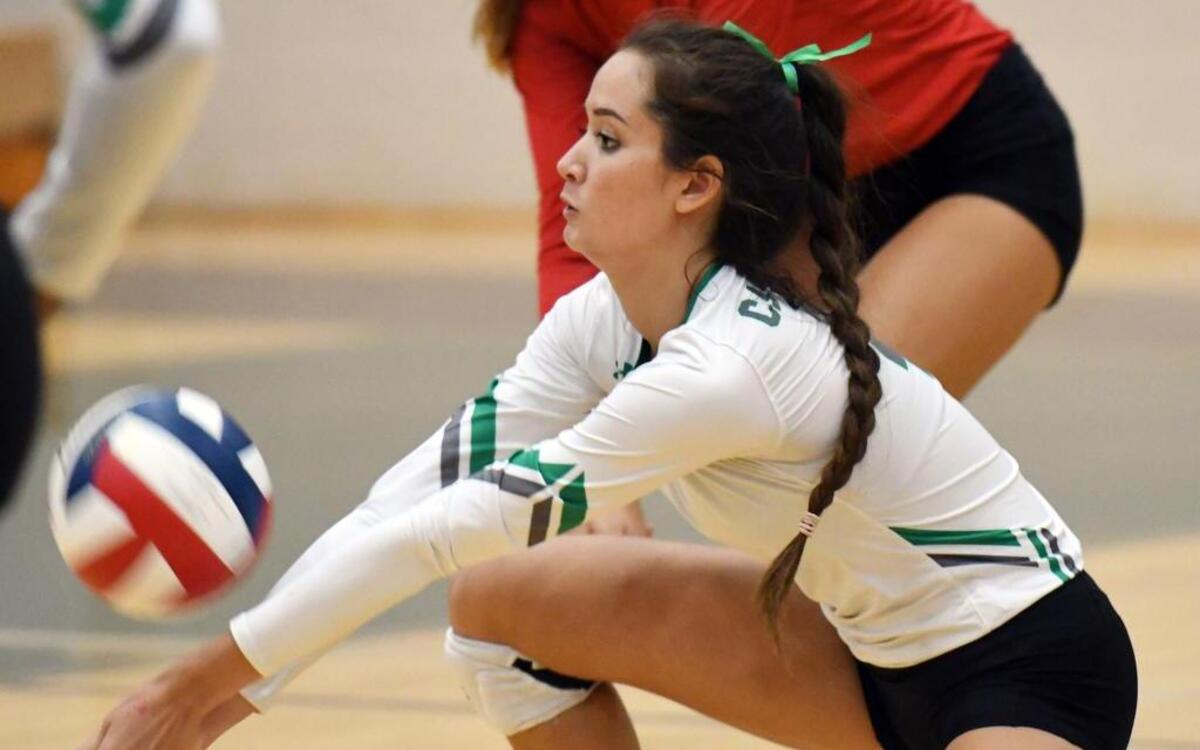 Southlake Carroll's Lauren Johnson and the Lady Dragons will try to seal up a championship in a very challenging district.