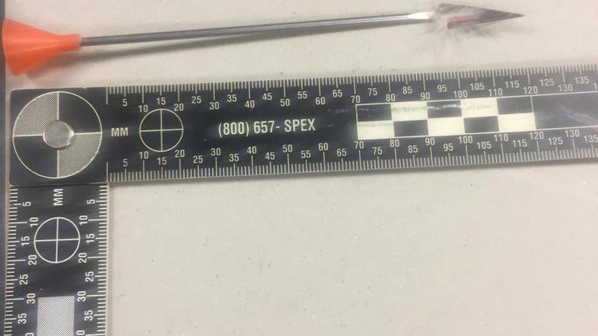 Police posted this photo on Facebook of one of the darts used to kill the goose.