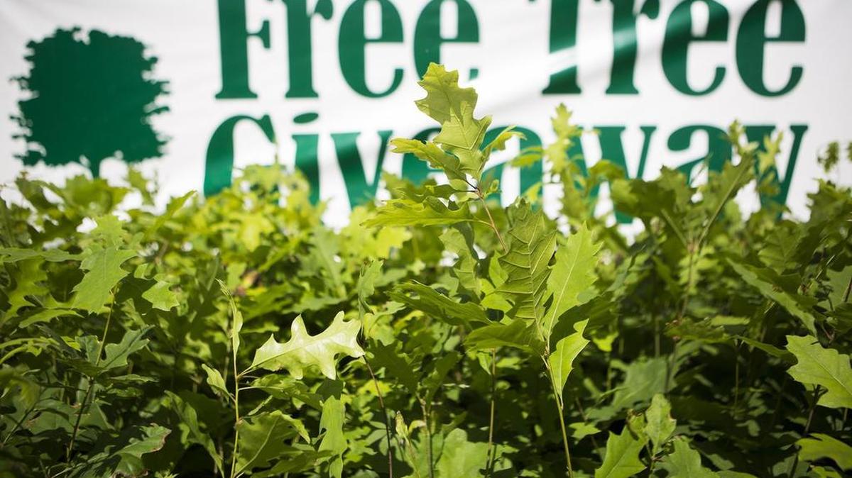 Euless has a lot going on, including its annual Arbor Daze festival, and Money Magazine noticed.
