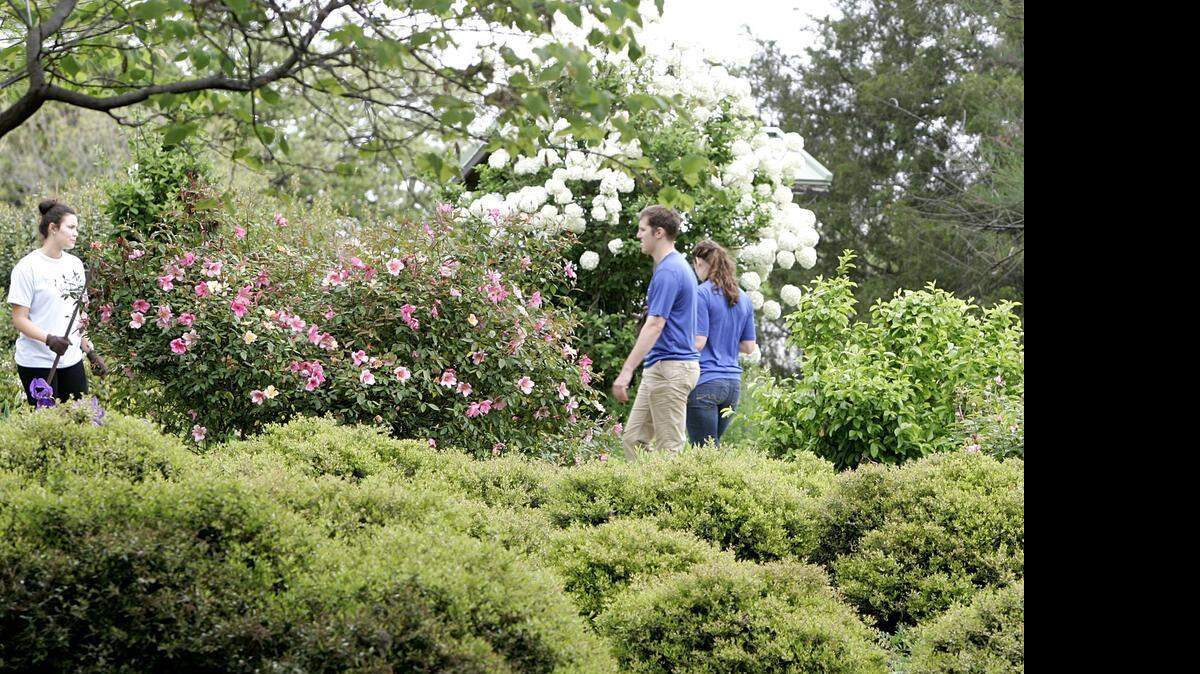 
Volunteers along with park and city employees gave a spring cleaning of Liberty Garden at Bicentennial Park in Southlake Saturday morning April 11, 2015. Around a half-a-dozen children from Grapevine Faith School helped city and park employees Spring clean the garden. 
