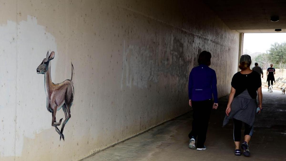 City officials opted to leave a painted doe untouched after city workers found the graffiti in the tunnel that goes under Bear Creek Parkway.