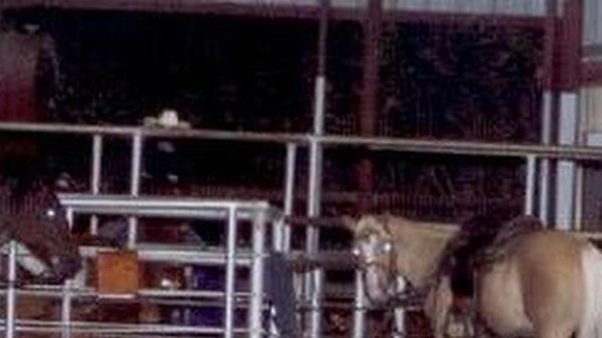 Francisco Gonzalez of Euless Trinity won a $750 scholarship for his performance in the recent North Texas High School Rodeo Association Finals.