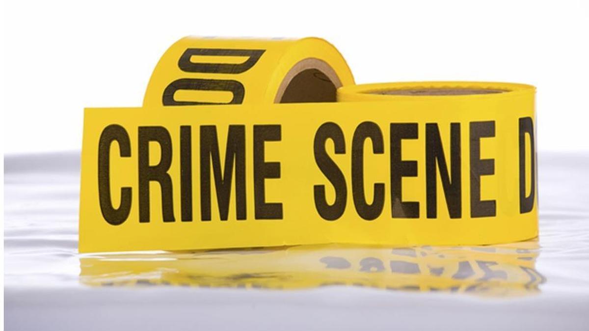 A fired Deloitte & Touche employee accused of stealing from the major accounting firm and then trying to kill his former boss in Southlake in August was sentenced to 20 years in prison Wednesday.
