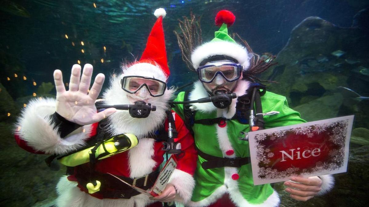 Santa (aka Ethan Eismont) and his elf (aka Javier Reyes) take a dive among the fish, sharks and stingrays at Sea Life Grapevine Aquarium.