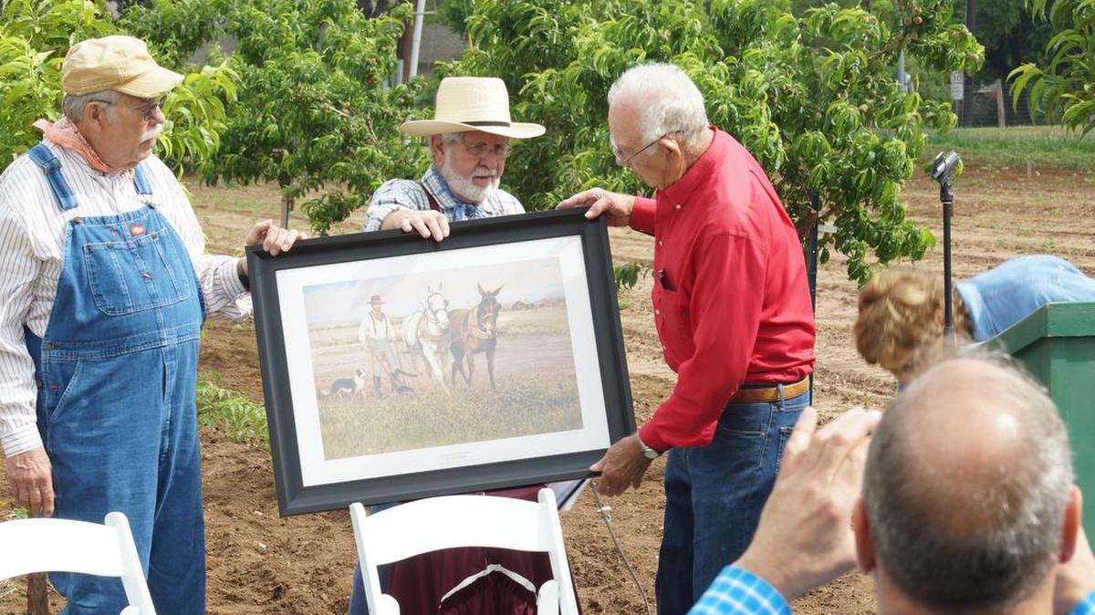 Grapevine Mayor William D. Tate, left, presents a print to Bob Flanagan, right, as Dr. Curtis Ratliff looks on.