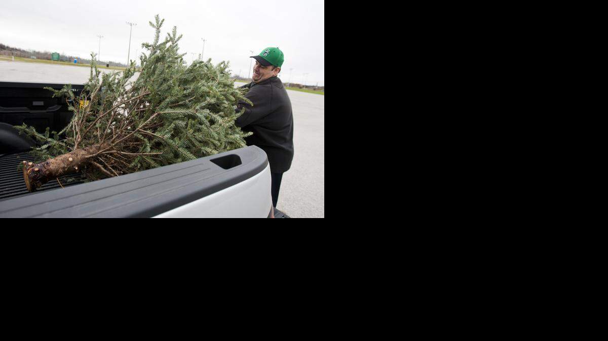 
William Rodie unloads a Christmas tree to recycle on Dec. 26, 2014 at Keller Sports Park.
