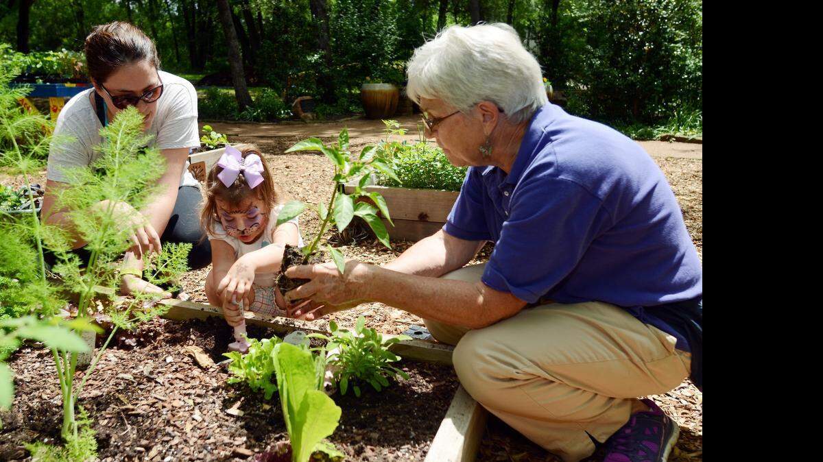 
Amanda Jennings, left watches her daughter Evelyn Jennings plant peppers with the help of Grapevine Garden Club volunteer Joyce Quam. 
