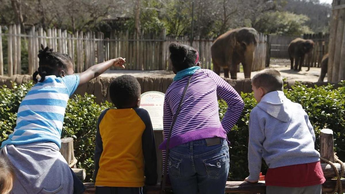 The Fort Worth Zoo is always popular during spring break, which is next week for the H-E-B school district.