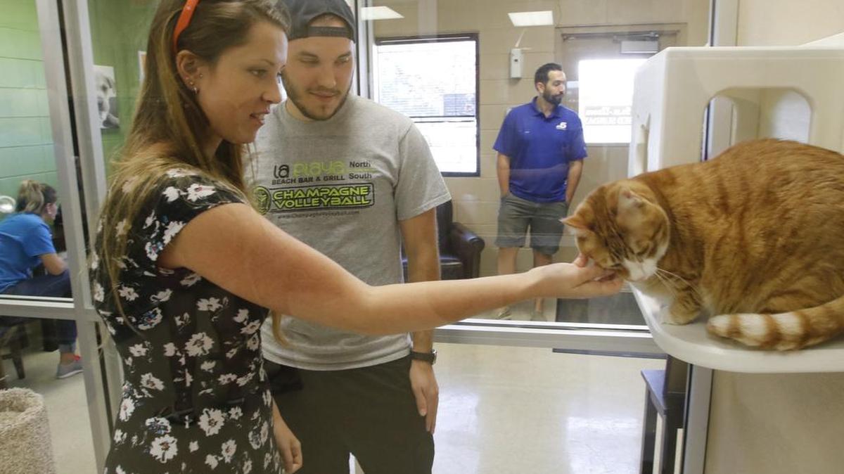 
Jordan Wiggins, left, and Colin Riley visit a cat up for adoption. 
