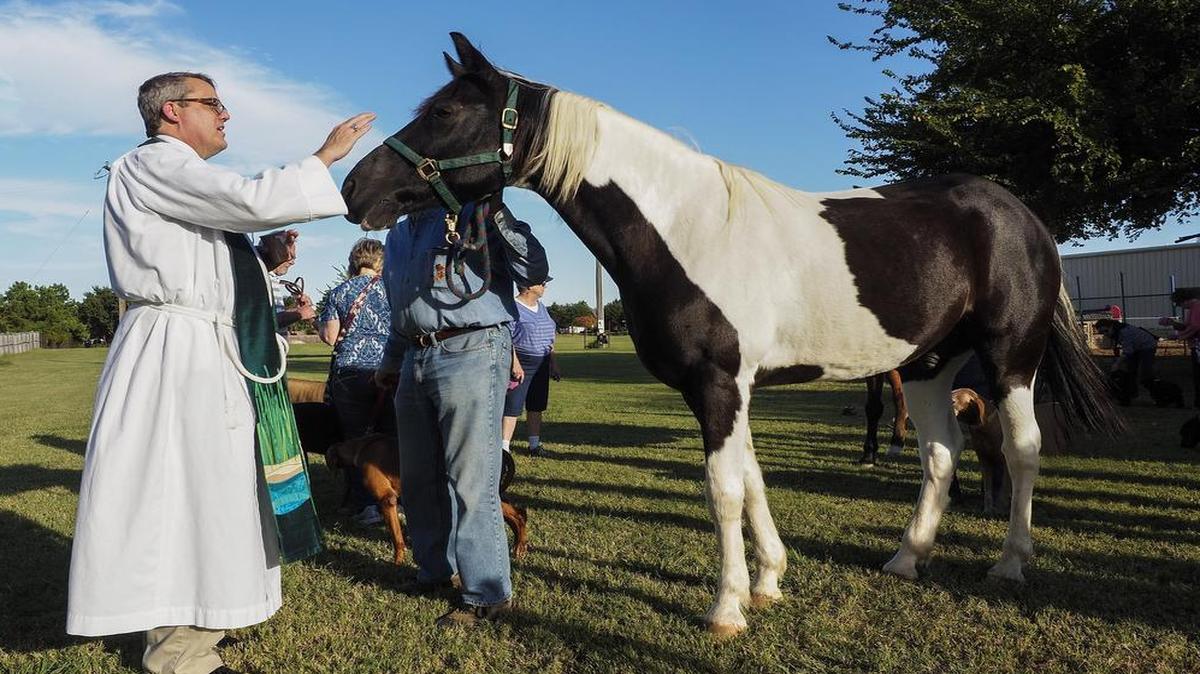 The Rev. Scot McComas blesses Oreo, owned by Richard and Linda Lantz of Southlake, at the Blessing of Animals.
