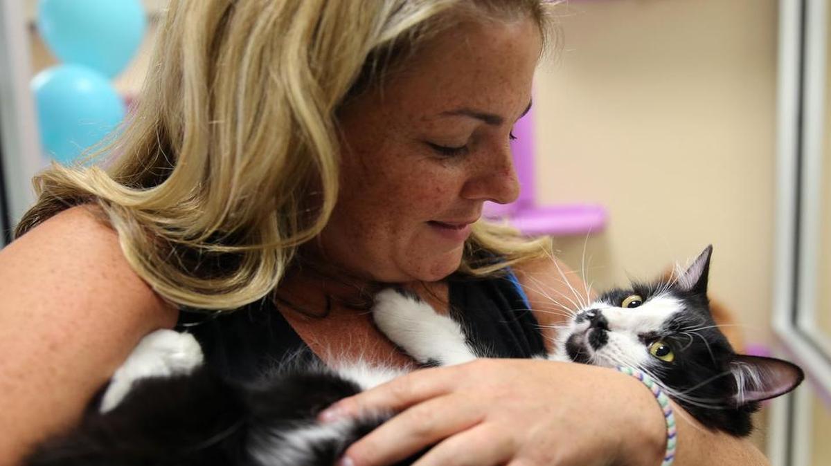 Carolyn Clement gets acquainted with Barry the cat at the Clear the Shelters event at the Grapevine Animal Shelter and Adoption Center.