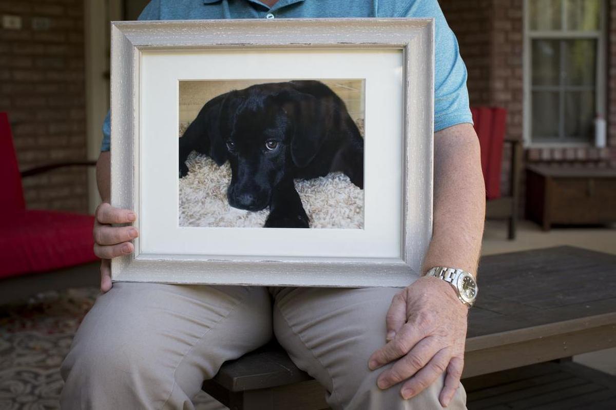 Haeger Long holds a picture of his dog, Lola, at his Keller home. Lola died in February after he says he accidentally forgot her in his SUV upon returning home from running an errand. He is extremely upset with authorities for going after him for what he calls a tragic accident.
