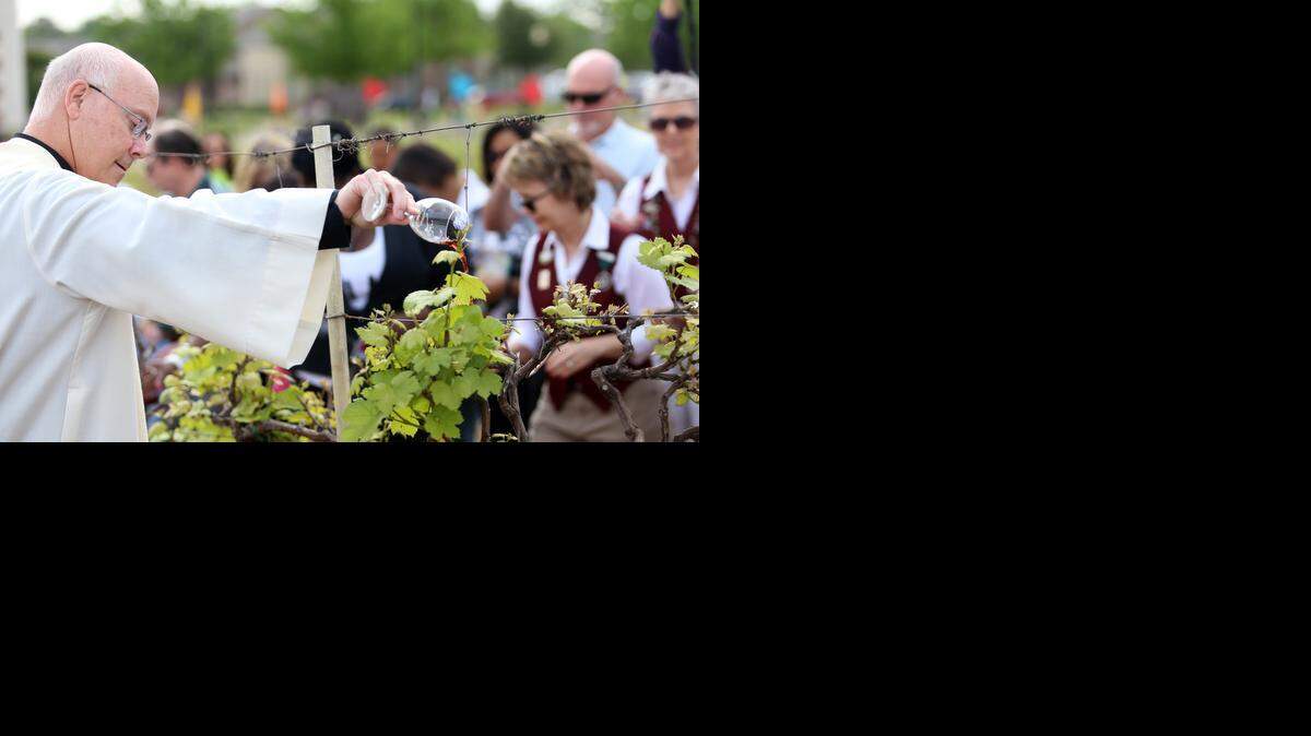 
The Rev. Ken Robinson participates at Grapevine's 23rd Blessing of the Vines. 
