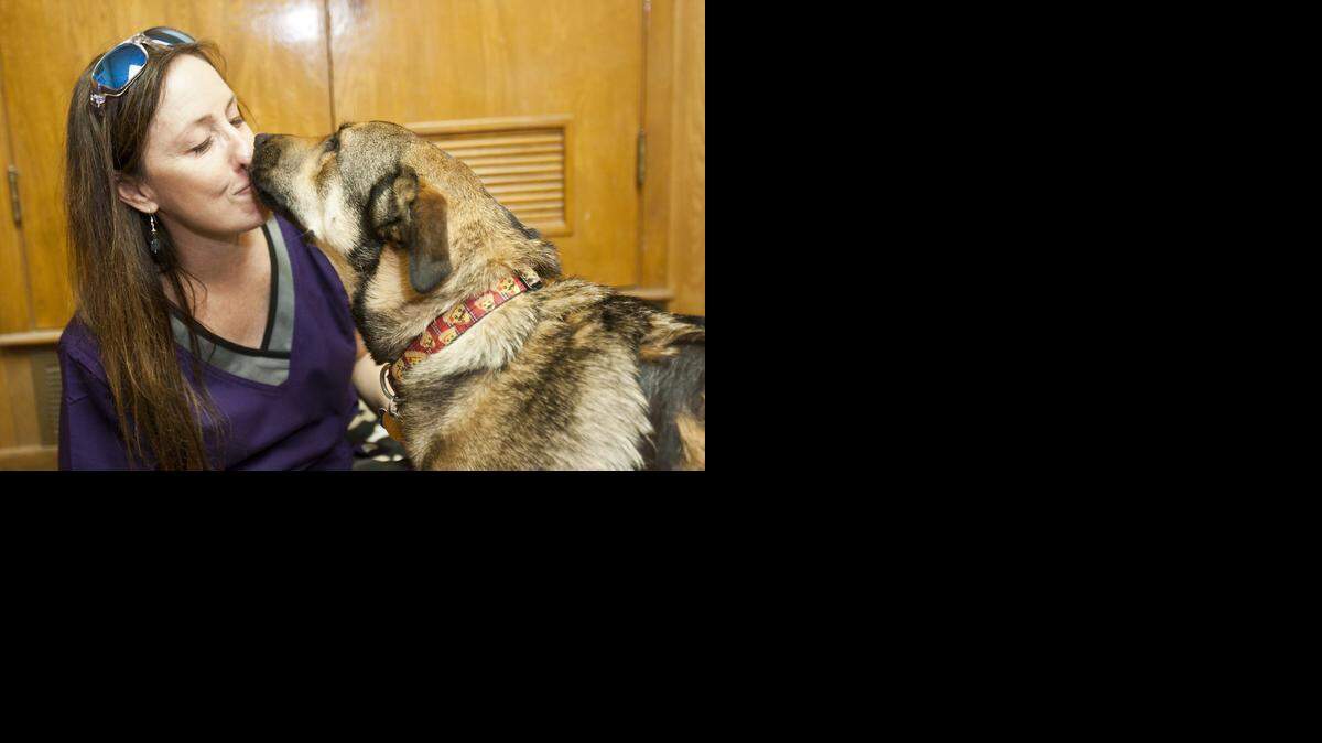 
Riley and his owner, Keli Brace, share a moment last week. Riley is a German shepherd mix who was badly scalded a year ago. His new owner, Brace, has helped him heal. Both will participate in a walk-a-thon to raise funds for the Euless Animal Shelter, where Riley was first treated.
