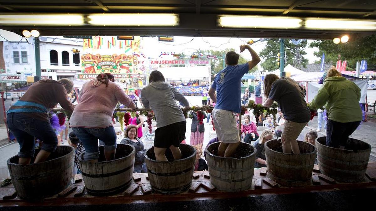 Teams compete in the GrapeStomp every year at GrapeFest.
