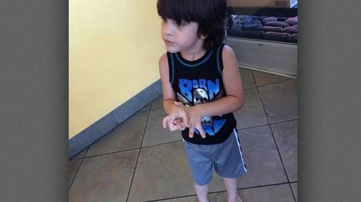 
Zachary Elshaarawi, 5, died in a hot car in Burleson after he wandered out of his house Sunday. 
