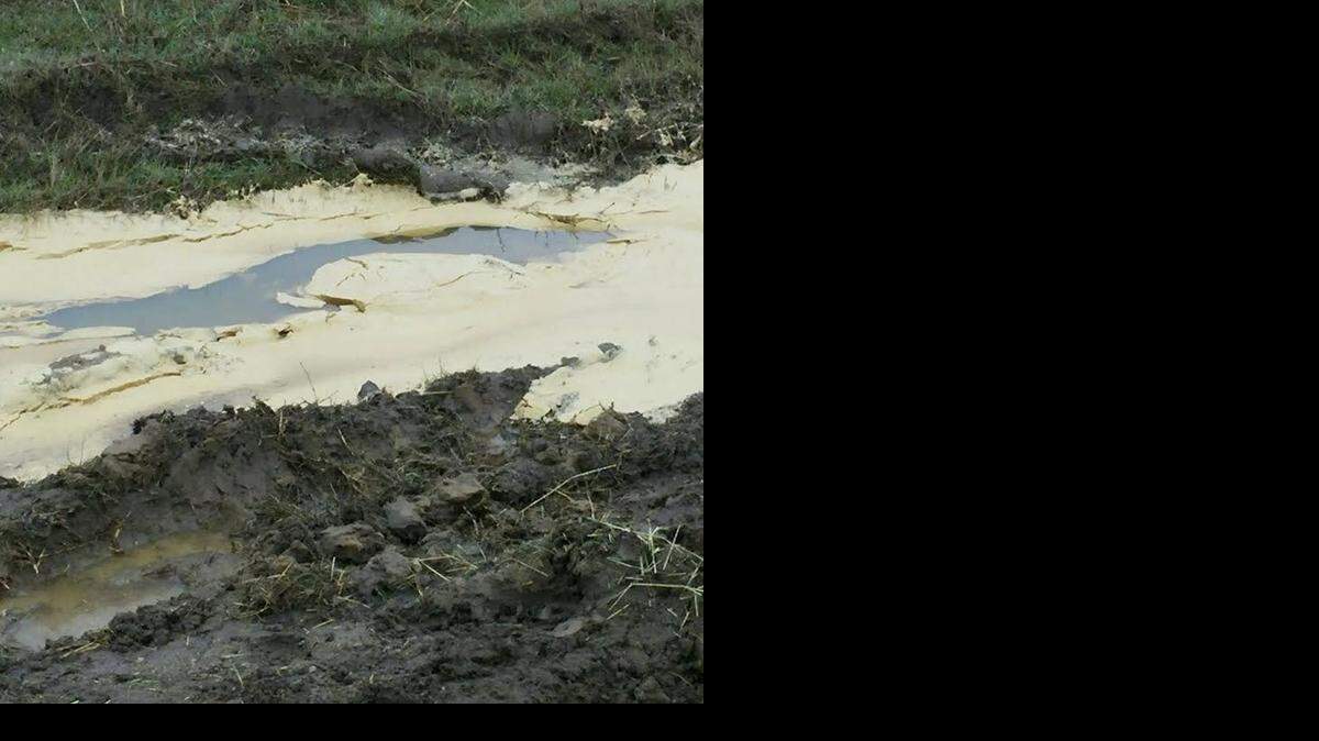 
A Garland truck driver is accused of dumping about 100 gallons of cooking oil and grease in a Parker County ditch on Monday after his vehicle got stuck in the mud on the side of a road. Deputies arrested the driver who faces a felony charge of unauthorized discharge.
