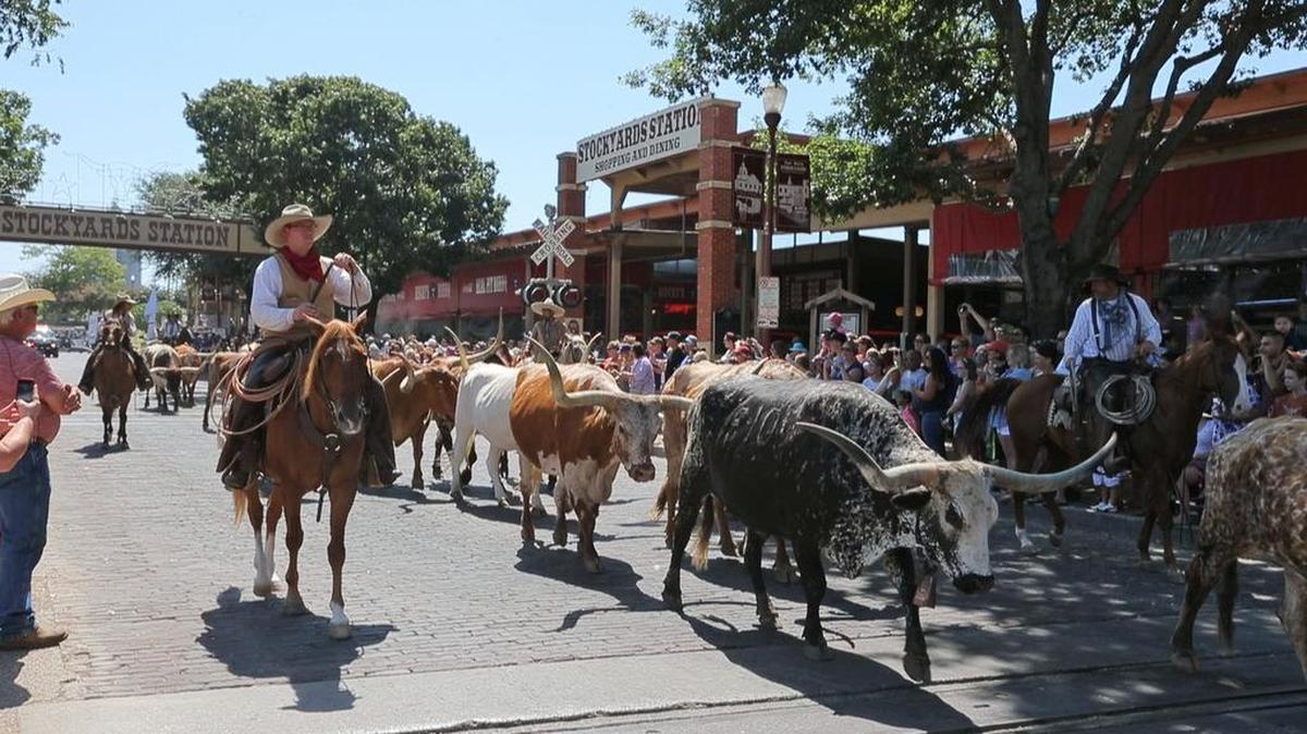 Day of the American Cowboy celebration in the Stockyards in July.