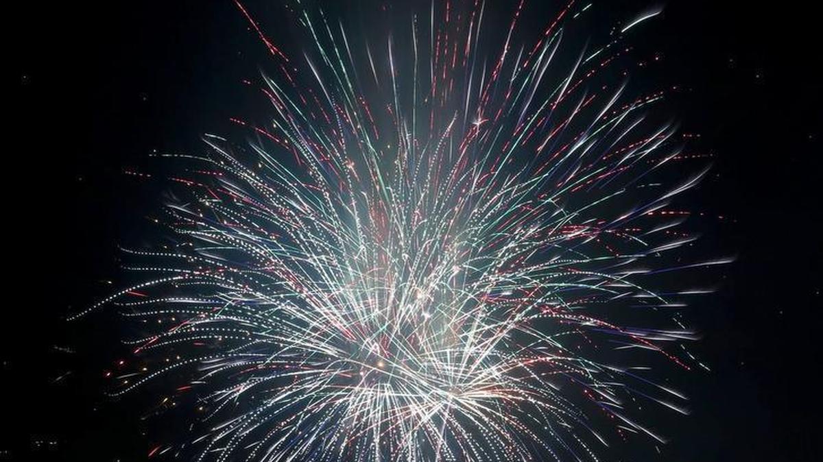 
The Fort Worth Symphony Orchestra performs as fireworks light the sky at Concerts in the Garden Friday, July 3, 2015. 
