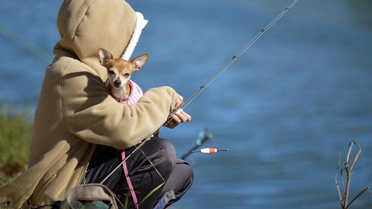 Em Boyle and her chihuahua Sandy braved the cold trying to catch some to the trout that Texas Parks and Wildlife stocked in Fort Worth’s Trinity River earlier this month.