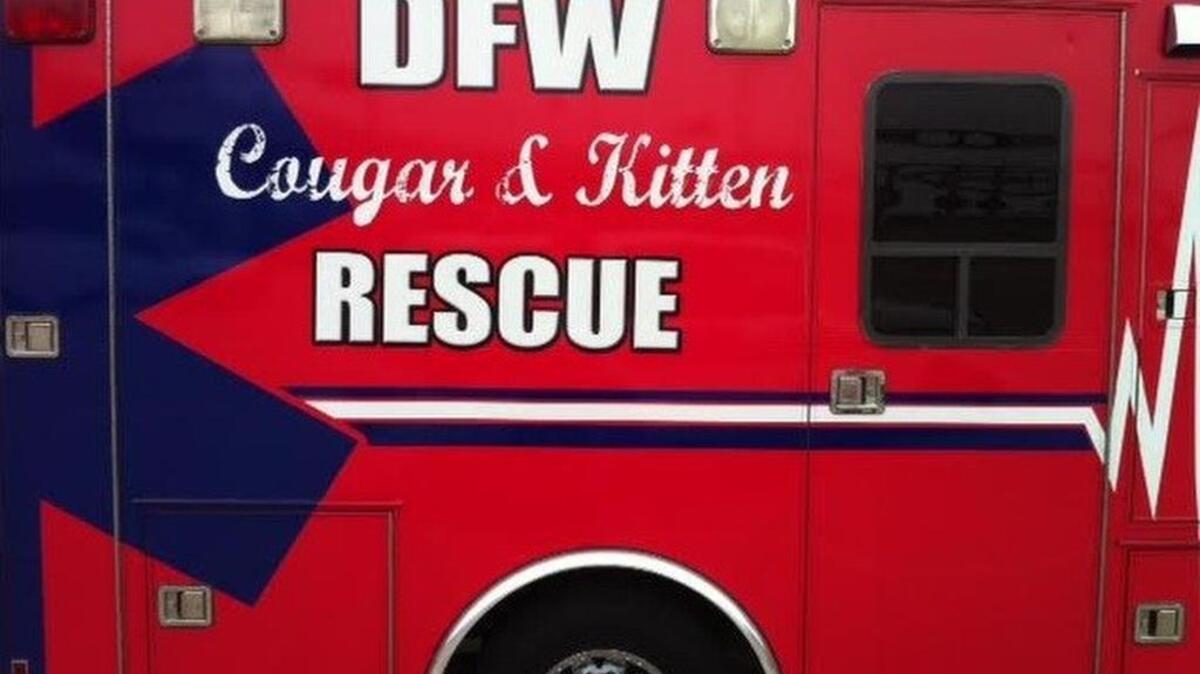 A new law makes it illegal to operate a retired ambulance for marketing, transportation or even as party buses or “slambulances.” The law goes into effect on Sept. 1.