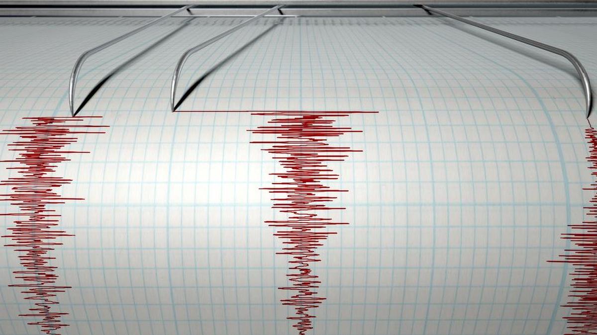 File photo of a seismograph