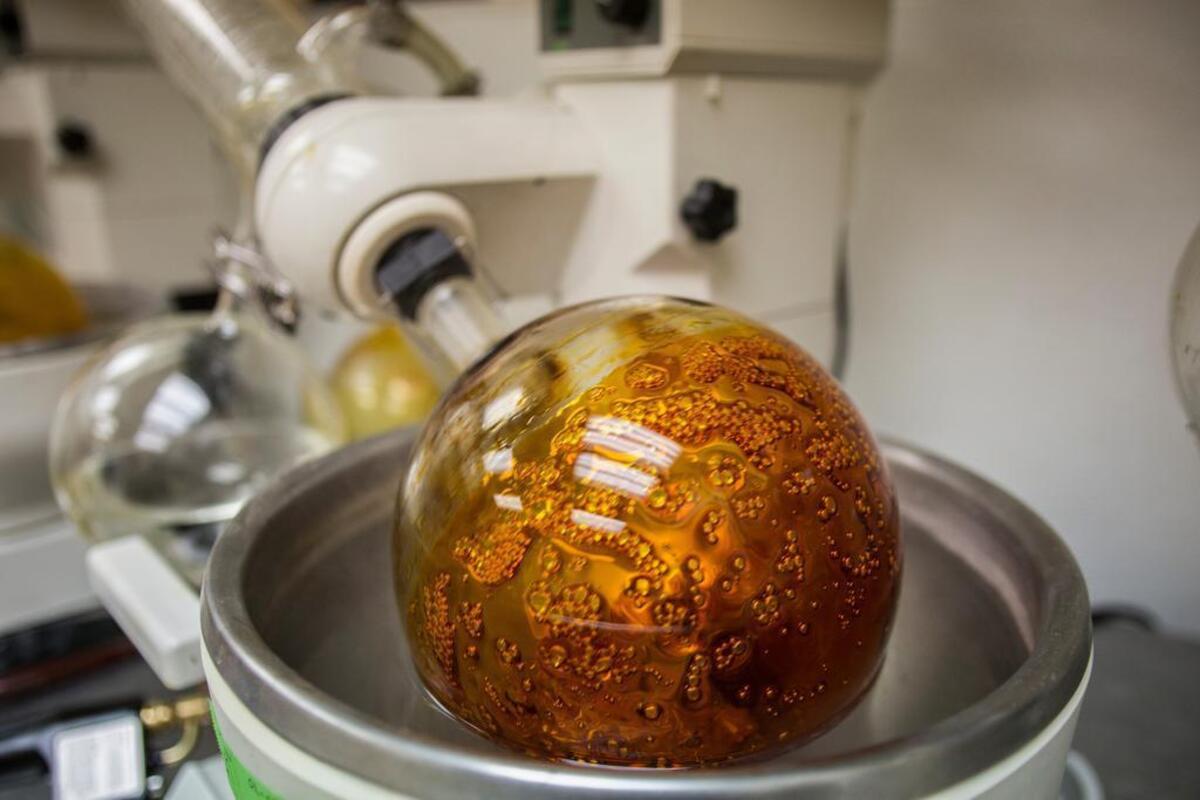 Cannabis oils is extracted using super-critical carbon dioxide at Organa Labs, which McElvany runs.