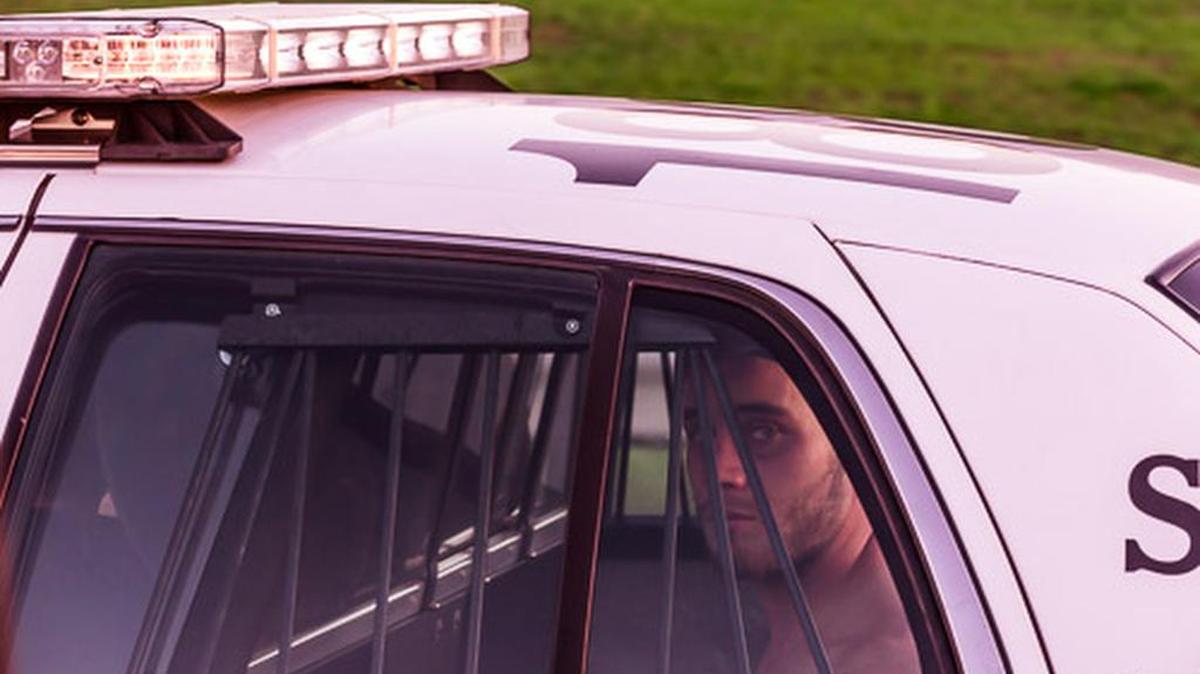 Ed McIver Jr. was arrested after a three-hour manhunt.
