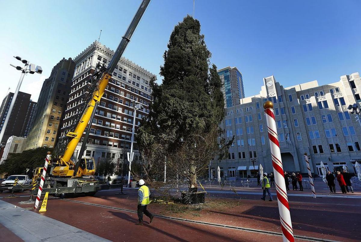 The city’s Christmas tree will be delivered to Sundance Square Plaza on Nov. 13. The square has become a centerpiece for downtown Fort Worth.