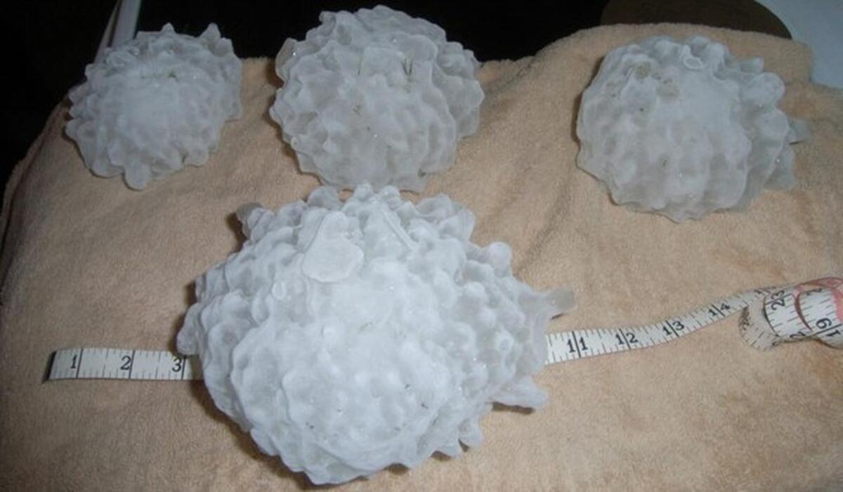 The largest hailstorm recorded in the U.S. was 8 inches in diameter.
