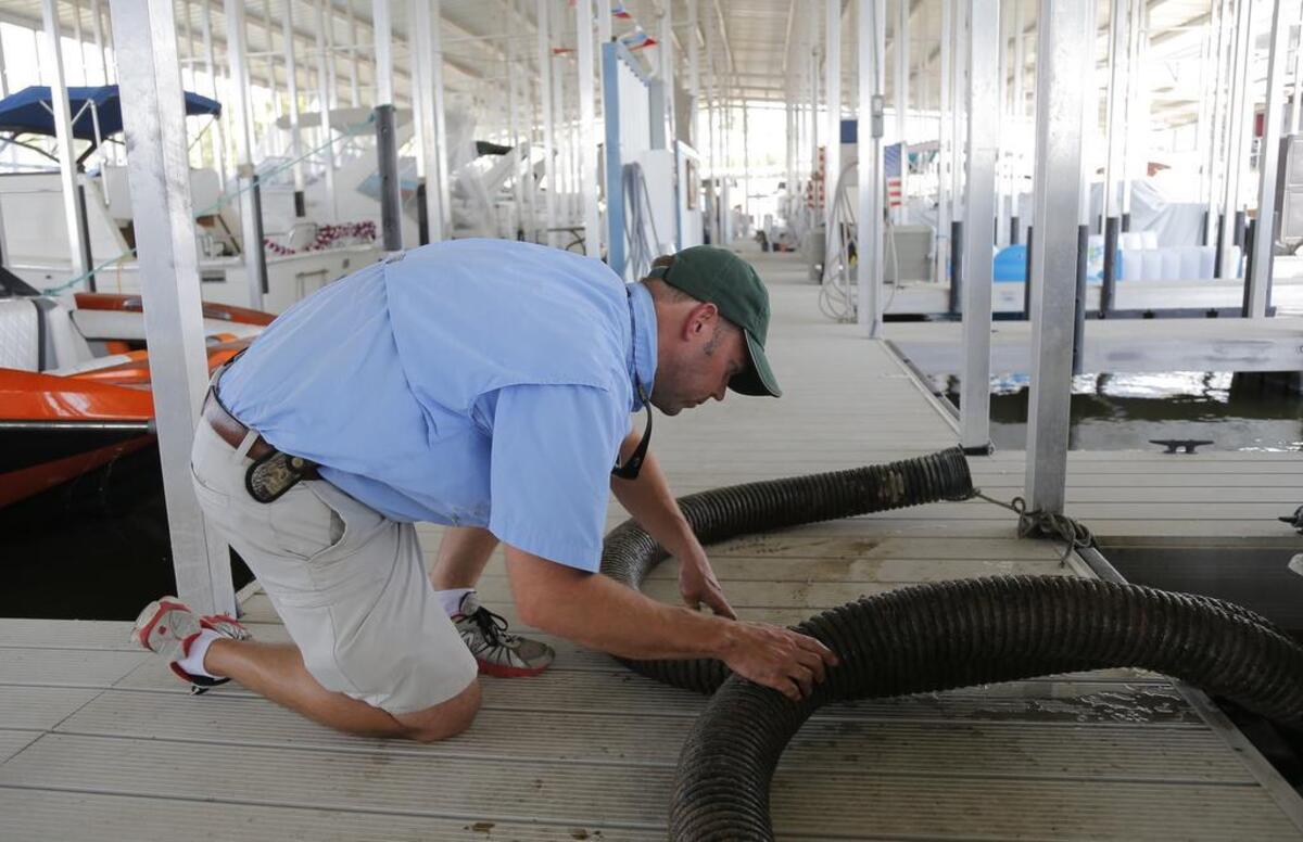 Tom Hungerford, a fisheries biologist for Texas Parks & Wildlife found zebra mussels at a marina on Eagle Mountain Lake in 2016.