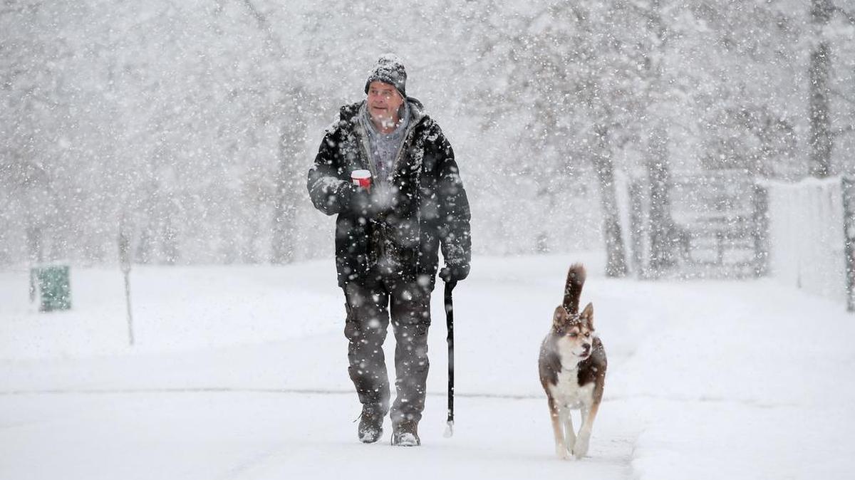 Sure, it was cold in North Texas, but in Elgin, Ill., northwest of Chicago, a man braved heavy snow to walk his dog.