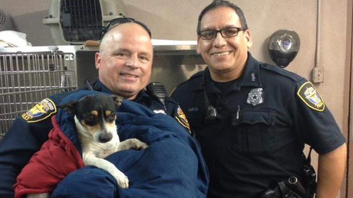 
Officers Allen Speed and Paul Garcia rescued this 4-year-old female rat terrier mix that was wandering on Interstate 30 near downtown Fort Worth.
