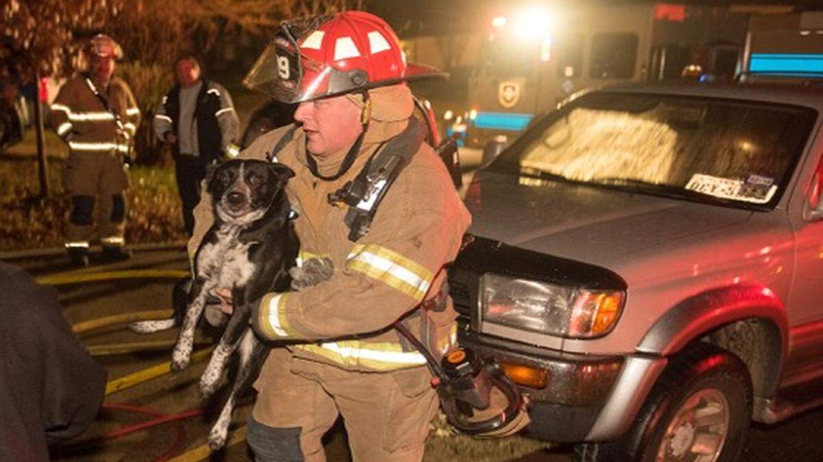 
Fort Worth fire Capt. Larry Manasco walks out of a house on Whitman Avenue with a dog during a Friday morning fire.
