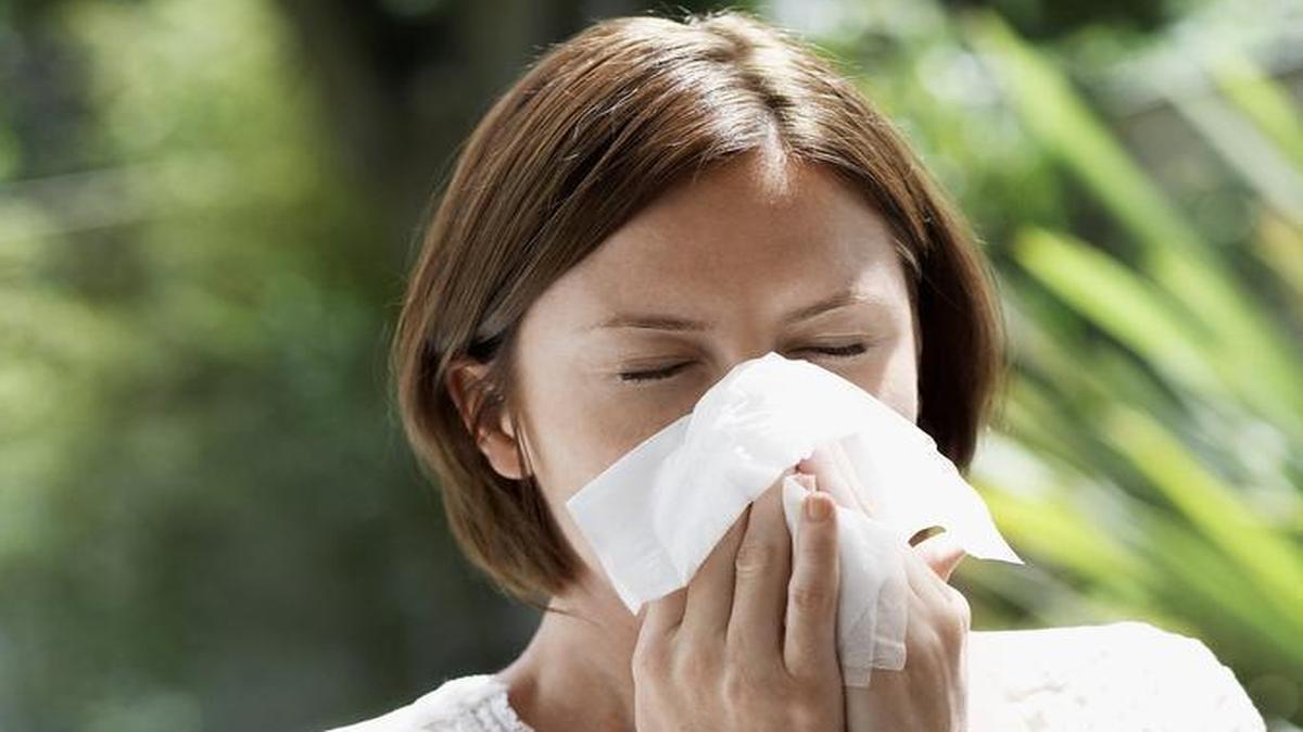 Kansas City was named the 20th worst city to live with pollen allergies in 2024, according to an analysis by the Asthma and Allergy Foundation of America. Learn how to avoid fall pollen.