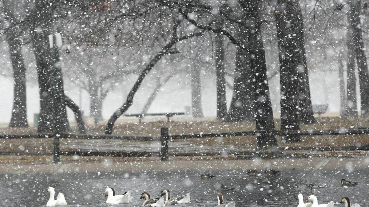 Snow fell in Trinity Park on Christmas Day 2012. Could there be more on Thursday?