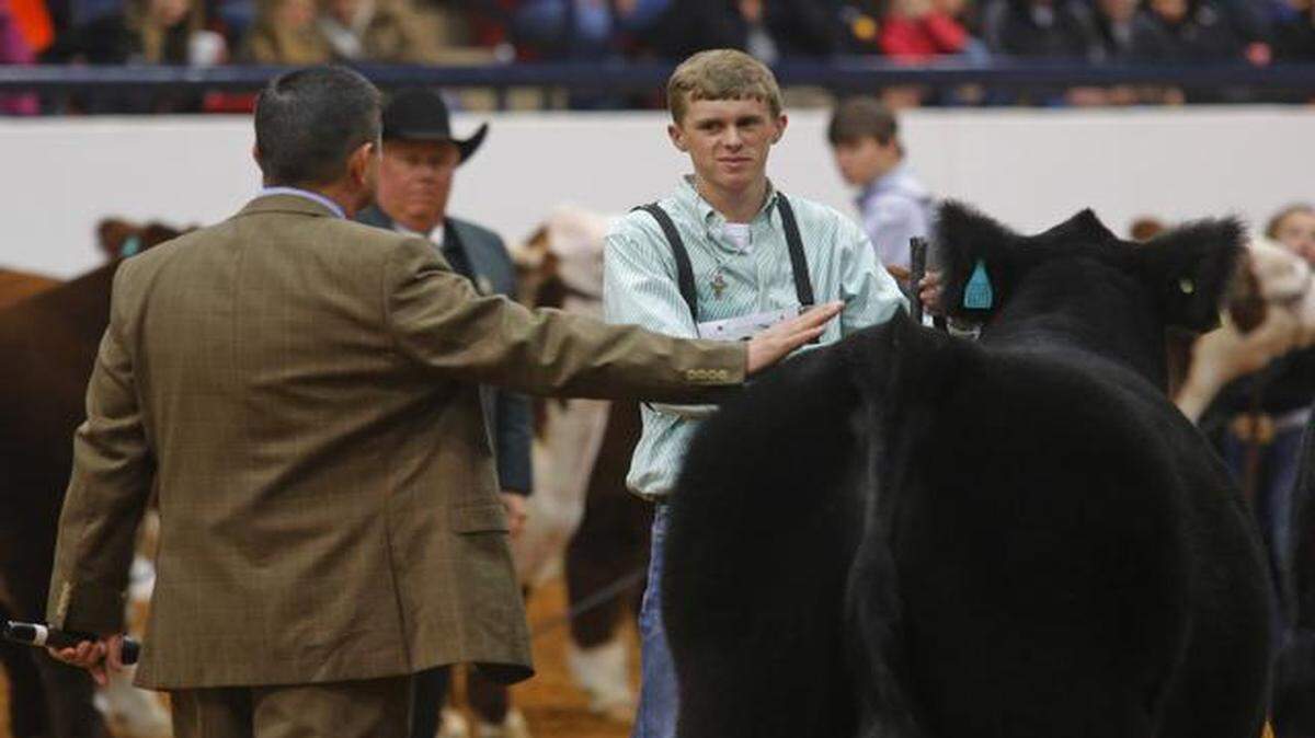 
Here I Am, a European crossbred showe by Flint Newman of Stanton, was the 2014 grand champion steer at the Fort Worth Stock Show. It was the 32nd consecutive year a European crossbred steer won the top honor.
