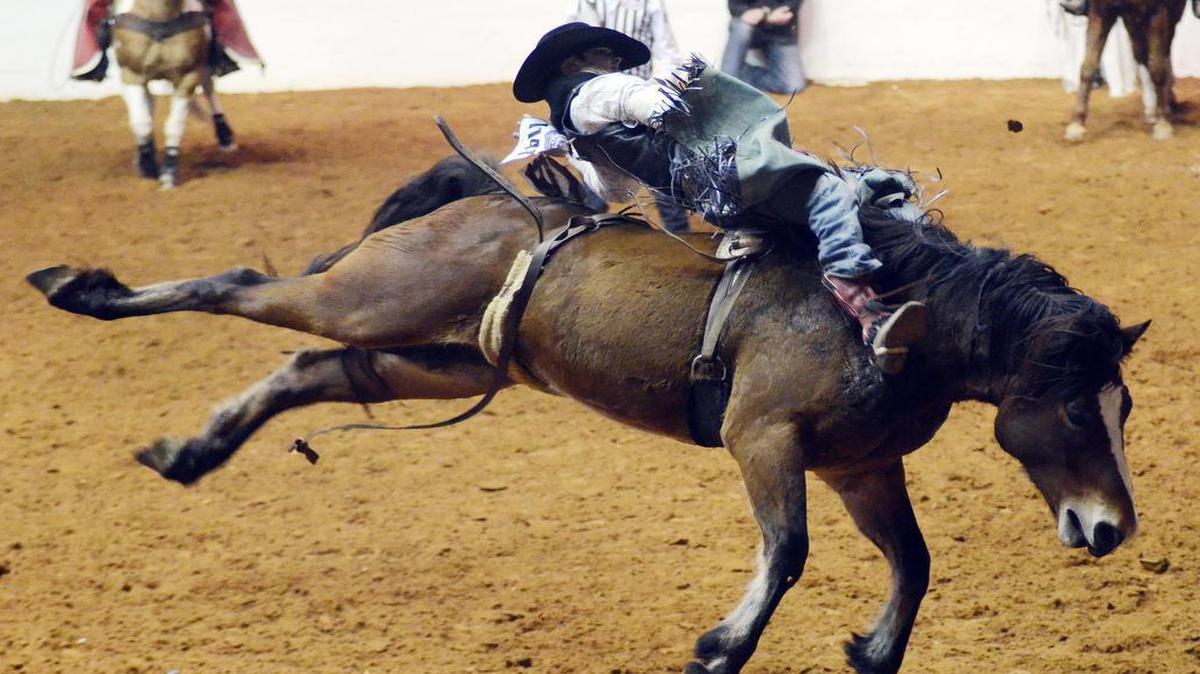 The Fort Worth Stock Show and Rodeo at Will Rogers Memorial Coliseum begins Friday. This year, those with open carry licenses will be allowed to bring their guns to the Stock Show but won’t be allowed at PRCA rodeo events as well as some other areas.