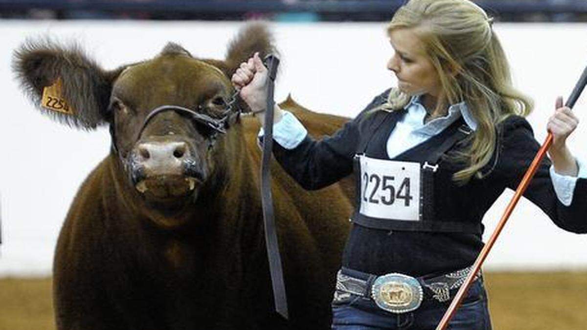 
Madilyn Priesmeyer shows her grand champion steer Bob Marley at the Fort Worth Stock Friday.
